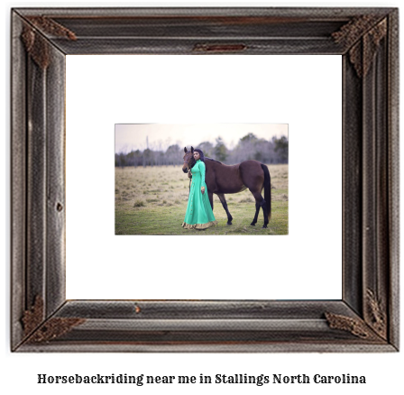 horseback riding near me in Stallings, North Carolina